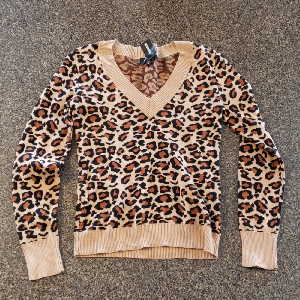 New Express sweater
